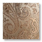 Picture-Taker-m0Os4k